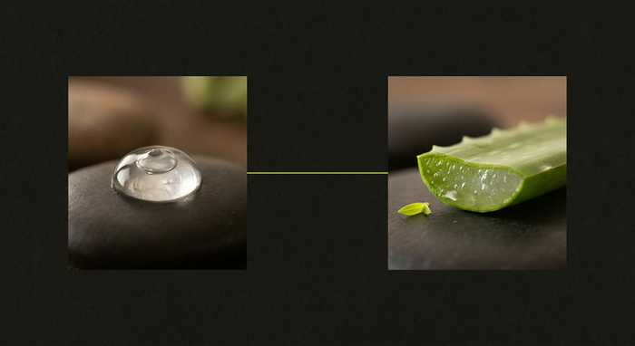 Aloe Vera vs Silicone for Scars: How to Choose for Old and New Marks