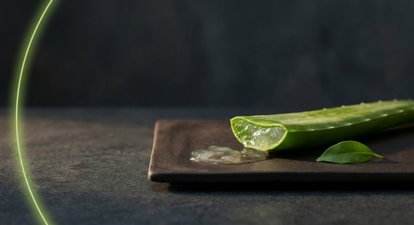¿Se Puede Usar Aloe Vera en Piel Propensa al Eccema? Una Guía Suave