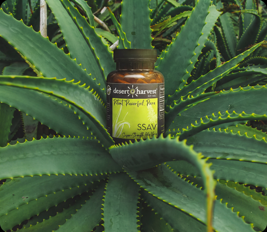 Desert Harvest Europe | SSAV Aloe Vera Capsules for IC/BPS Support Desert Harvest Europe | SSAV Aloe Vera Capsules for IC/BPS Support