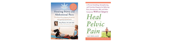 Healing Pelvic and Abdominal Pain by Amy Stein